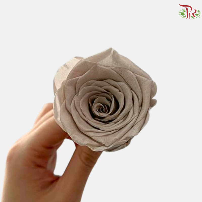 8 Blooms Preserved Rose