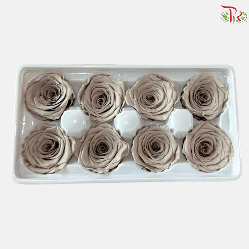 8 Blooms Preserved Rose