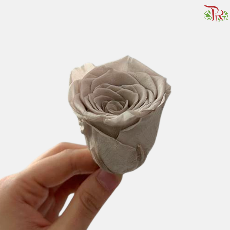 8 Blooms Preserved Rose