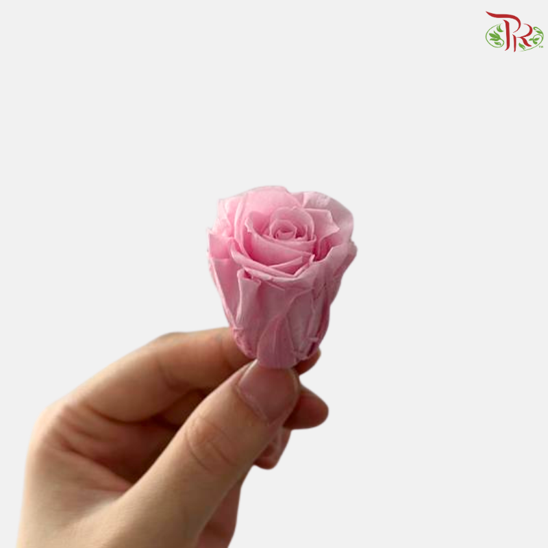21 Blooms Preserved Rose