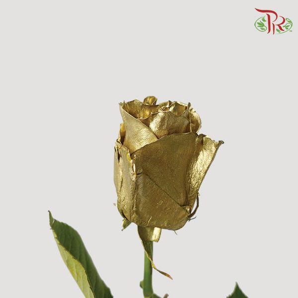 Ceres Rose - Gold (10 Stems) - Pudu Ria Florist