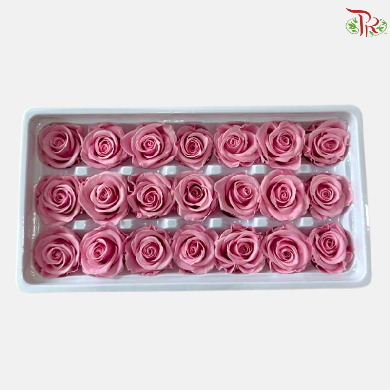 21 Blooms Preserved Rose