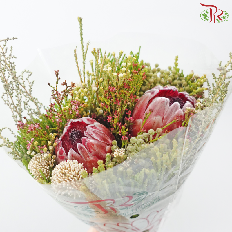 Safari 2 Protea Bouquet *Random Choose Cone / Fillers*