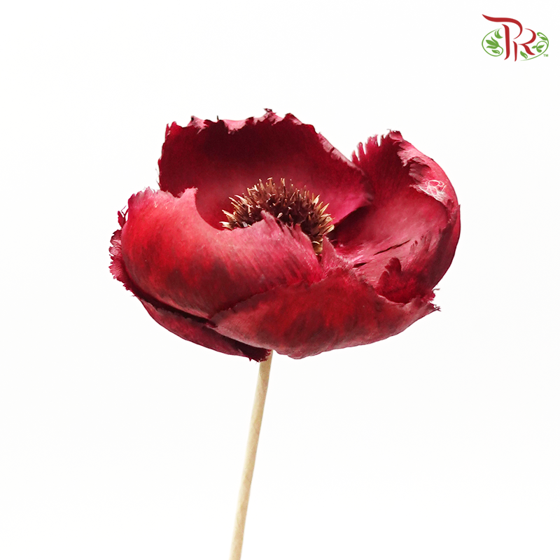 Palm Flower Preservative Red ( 3pcs ) ( 4051-3-480 ) - Pudu Ria Florist