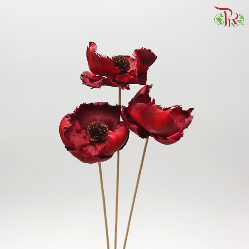 Palm Flower Preservative Red ( 3pcs ) ( 4051-3-480 ) - Pudu Ria Florist