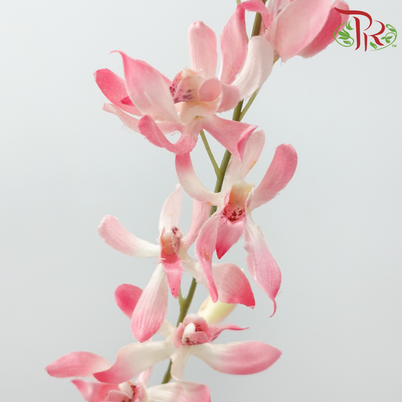 Artificial Spider Orchid Spray - 3 Stems
