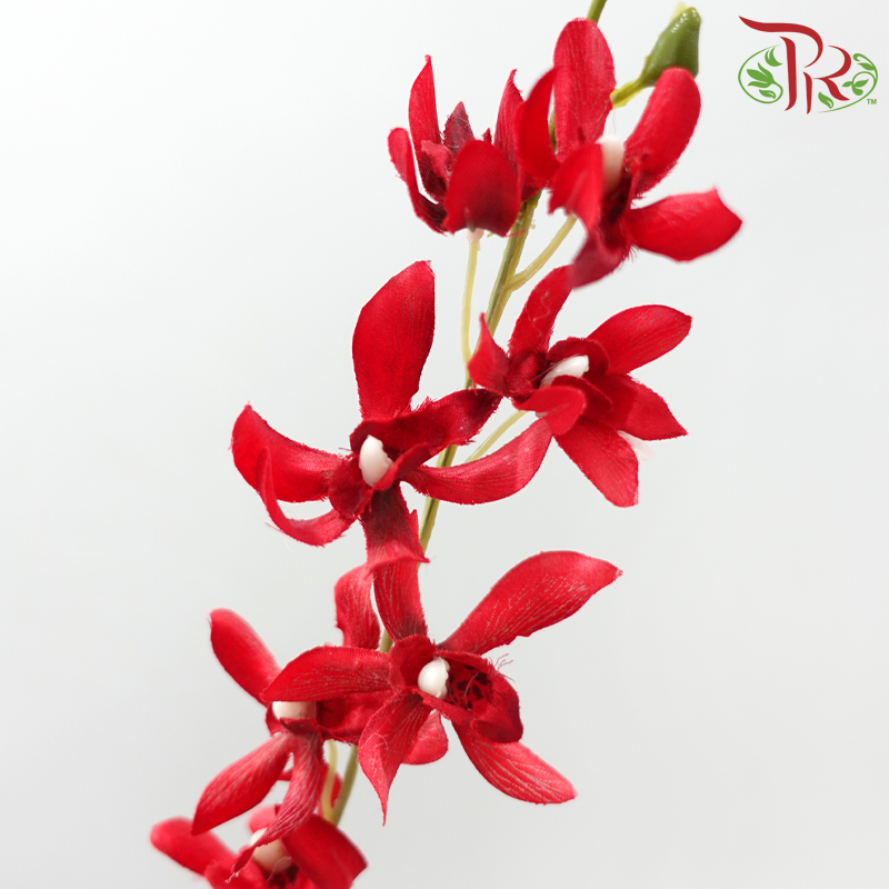 Artificial Spider Orchid Spray - 3 Stems