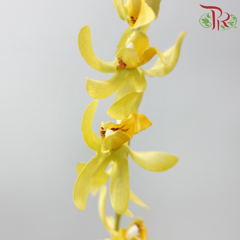 Artificial Spider Orchid Spray - 3 Stems