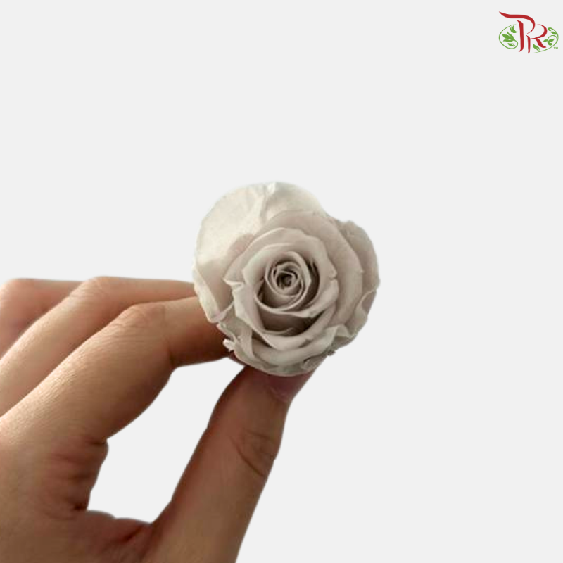 21 Blooms Preserved Rose