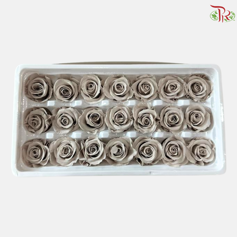 21 Blooms Preserved Rose