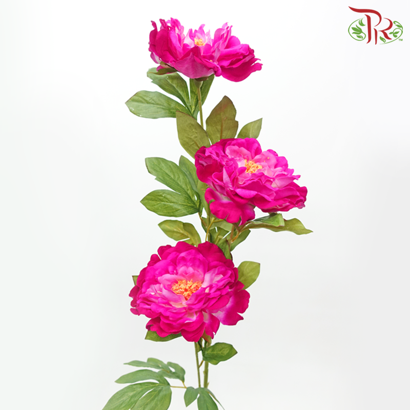 45" - Artificial Peony Spray - Cherry Pink (2 Stems)-Cherry Pink-Pudu Ria Florist-prflorist.com.my