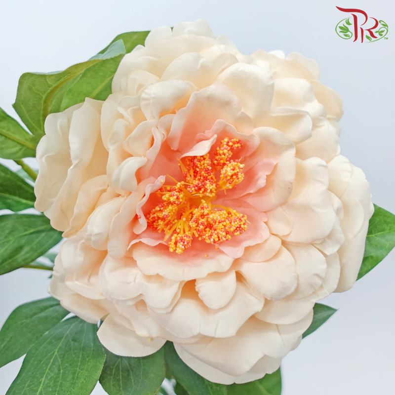 45" - Artificial Peony Spray - Peach (2 Stems)-Peach-Pudu Ria Florist-prflorist.com.my