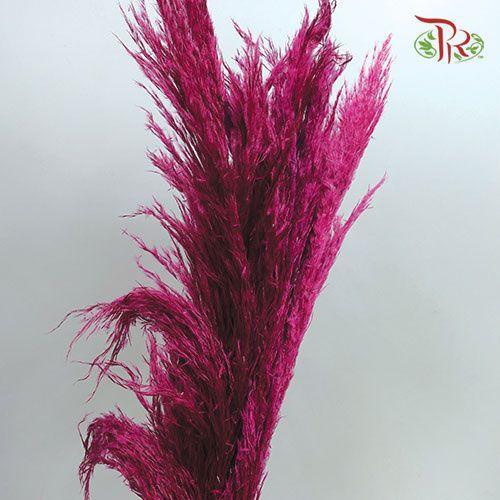 Dry Pampas Bleached / Colour - Red - Pudu Ria Florist