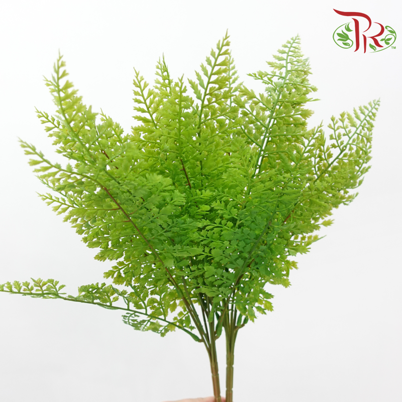 Artificial Asparagus Fern