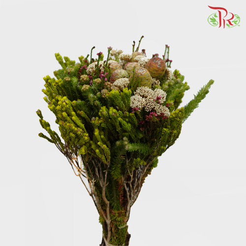 Safari Mix (Cone/Cape) - 2 (Per Bunch)***Random Mix Cape Cone - Pudu Ria Florist