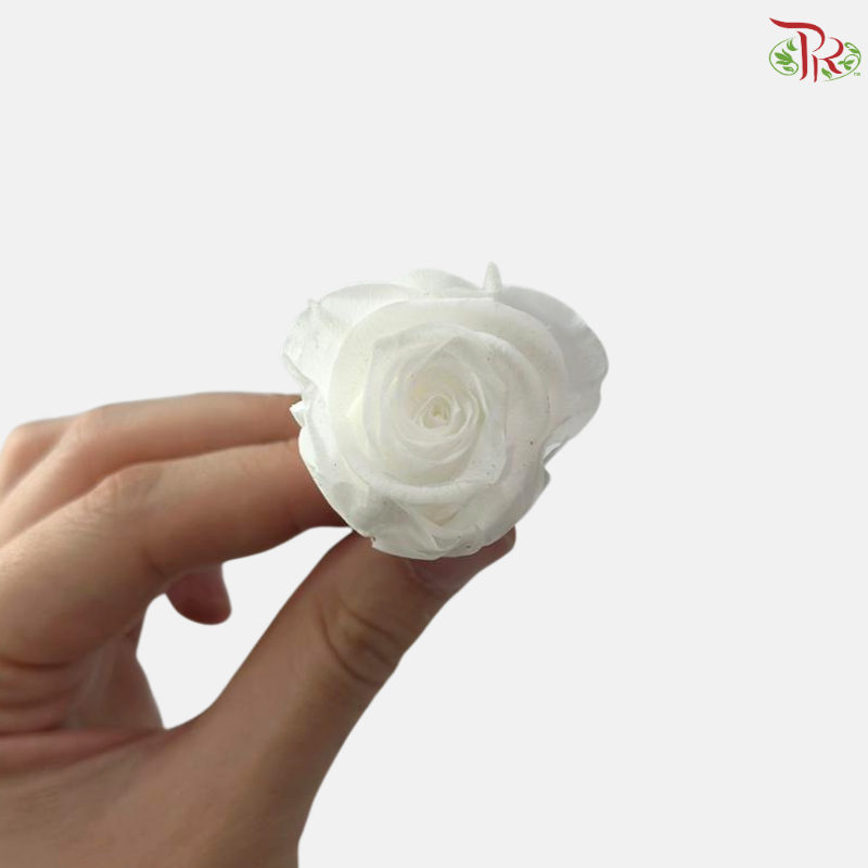21 Blooms Preserved Rose