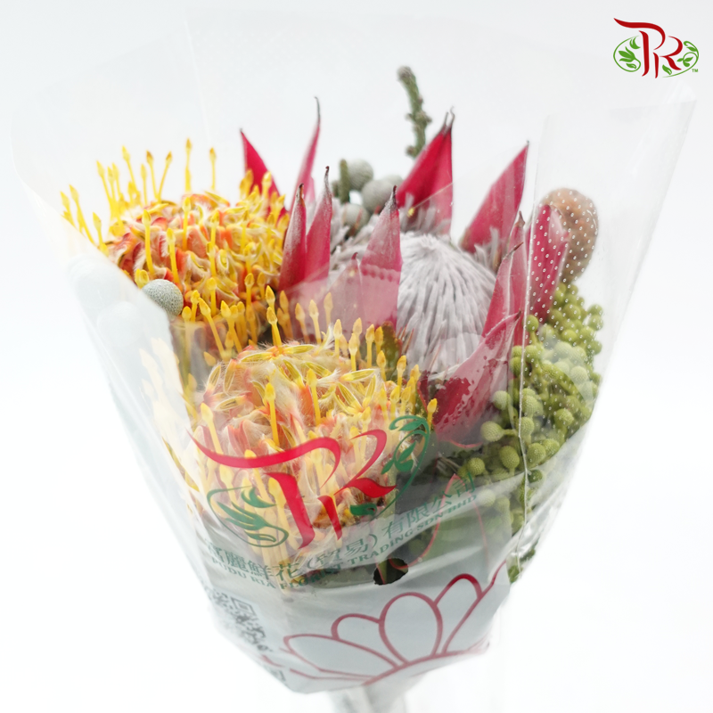 Assorted Bunch - Protea Clare & Leucospermum