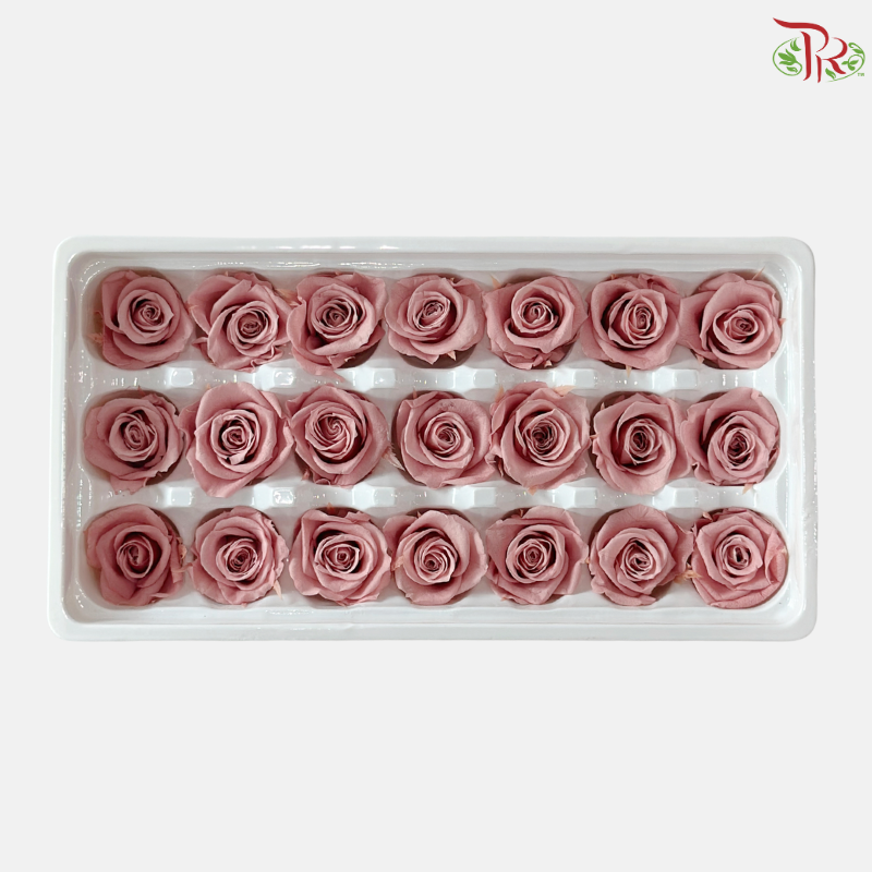 21 Blooms Preserved Rose