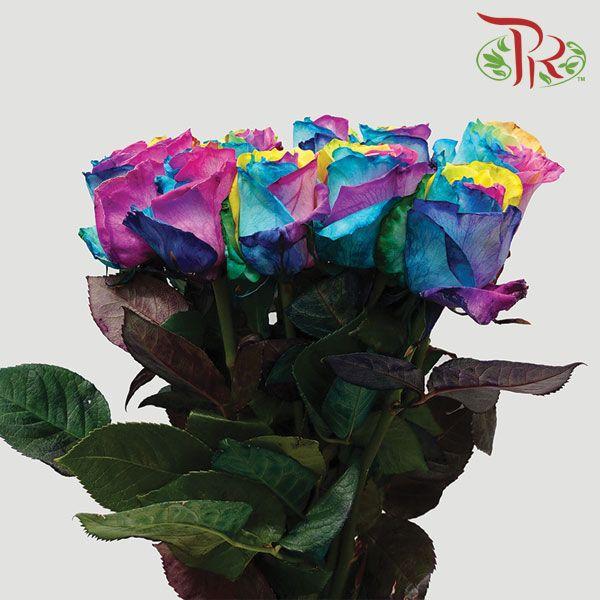 Ceres Rose - Rainbow Tinted (10 Stems) - Pudu Ria Florist