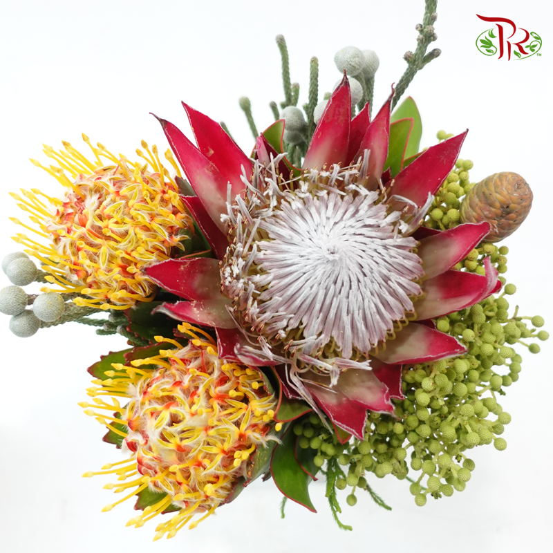 Assorted Bunch - Protea Clare & Leucospermum