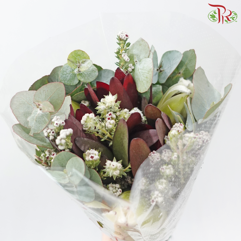 Safari Premium Bouquet ( Christmas Edition ) **Random Cone/Fillers