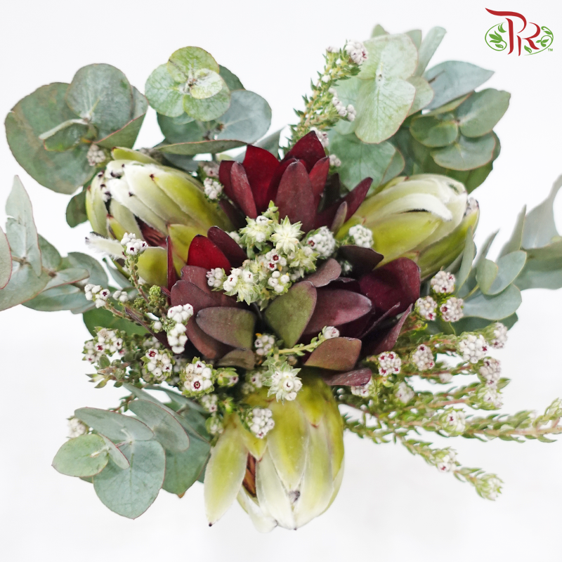 Safari Premium Bouquet ( Christmas Edition ) **Random Cone/Fillers