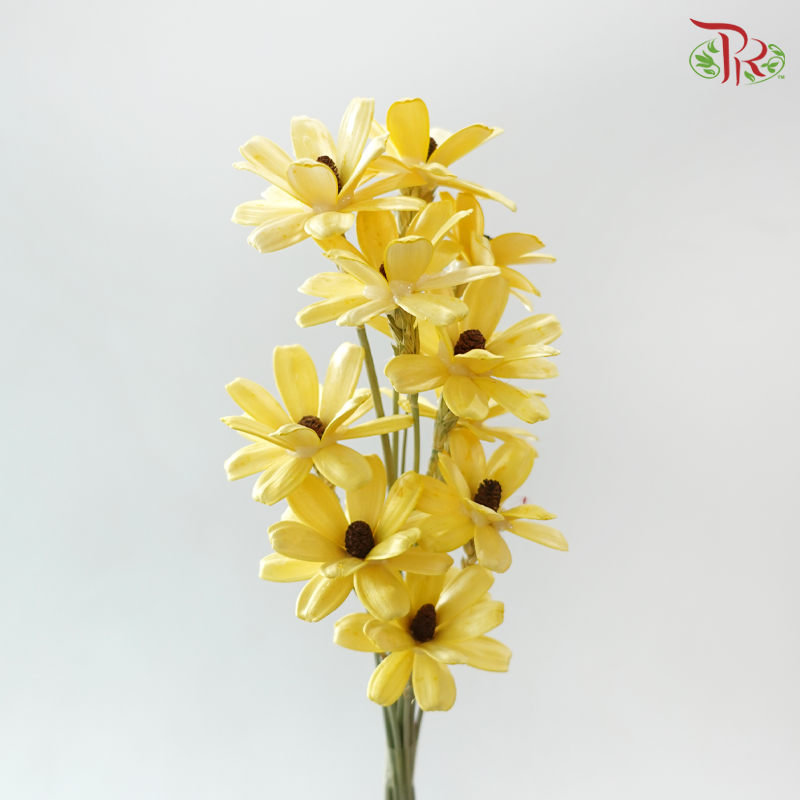 Dried Sunflower Seed Flower