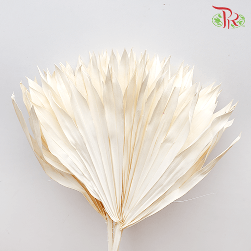 Dry Palm White (5 stems) - Pudu Ria Florist