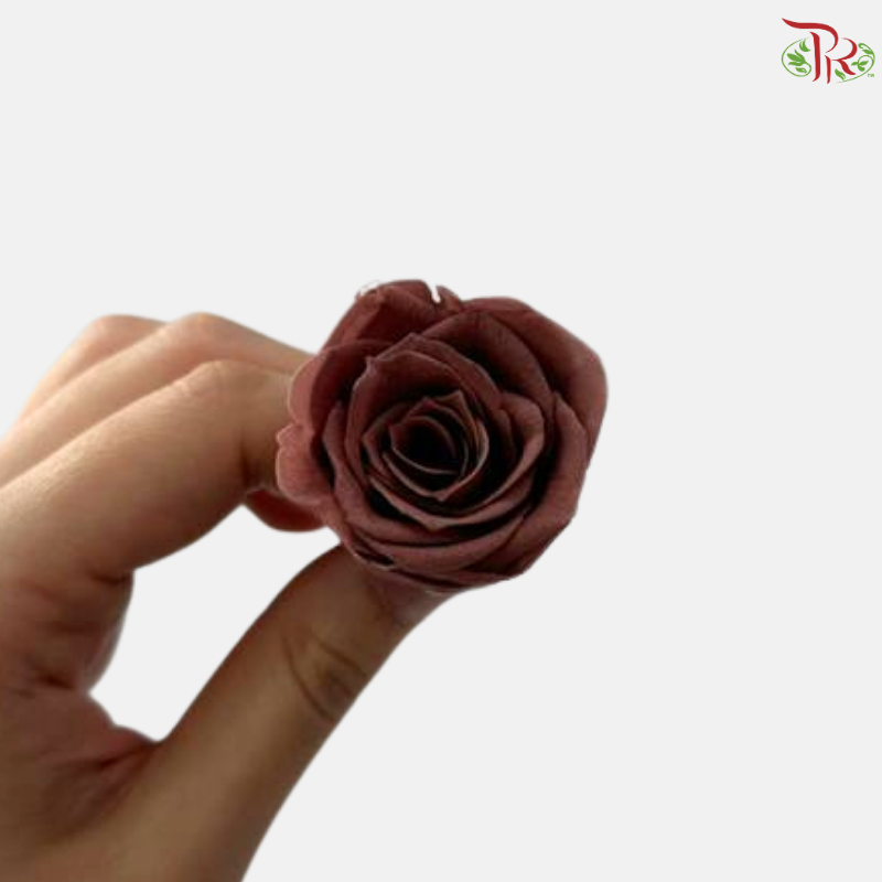 21 Blooms Preserved Rose