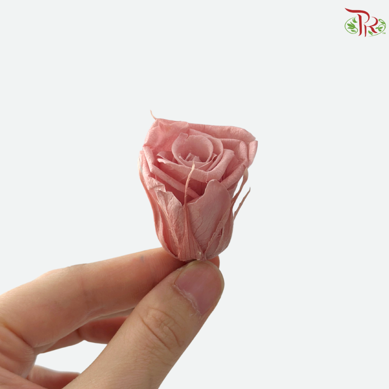 21 Blooms Preserved Rose