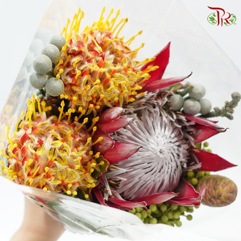 Assorted Bunch - Protea Clare & Leucospermum