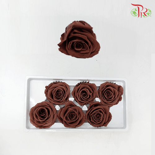6 Bloom Rose - Brown-Brown-China-prflorist.com.my