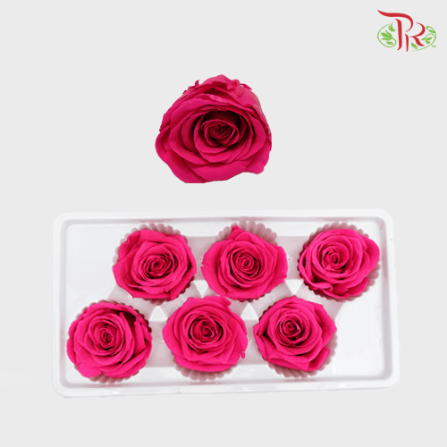 6 Bloom Rose - Cherry Pink-Cherry Pink-China-prflorist.com.my