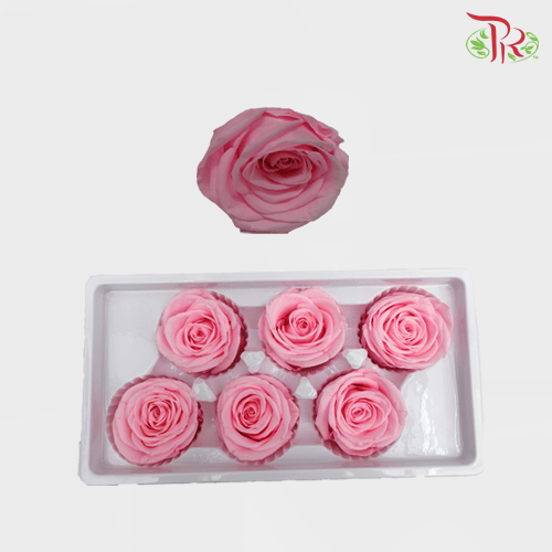 6 Bloom Rose - Pink-Pink-China-prflorist.com.my