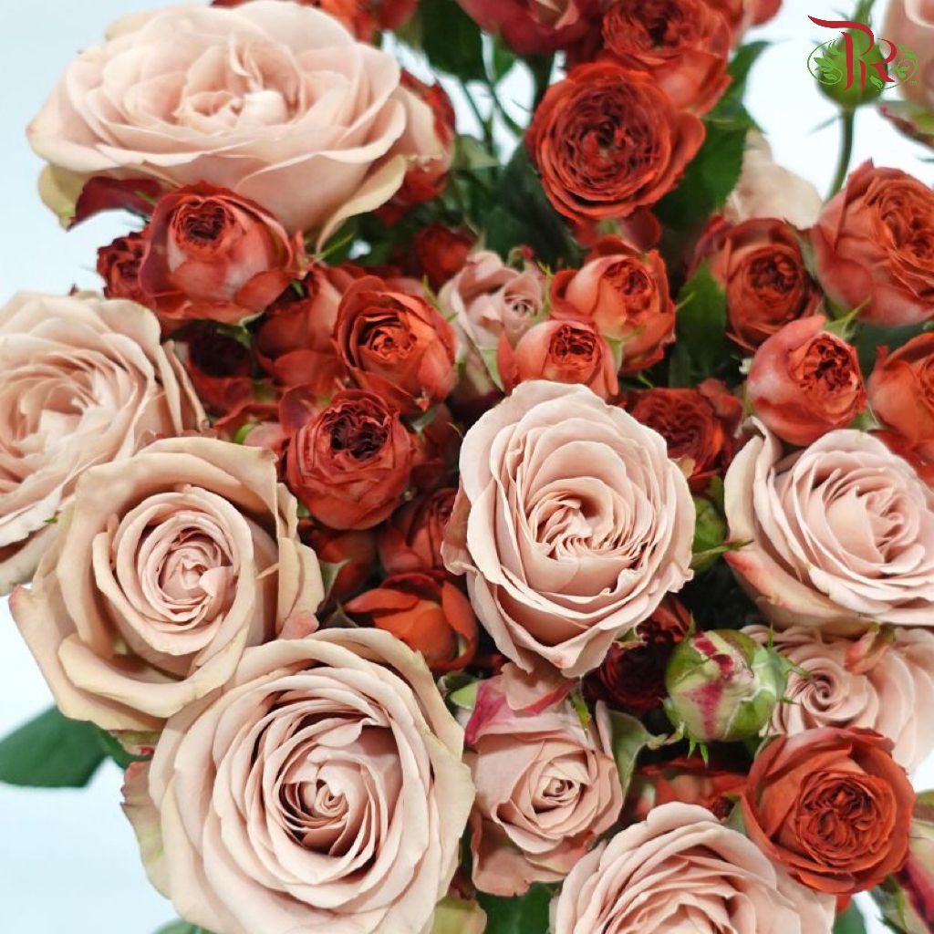 Rose Spray 《多头玫瑰》