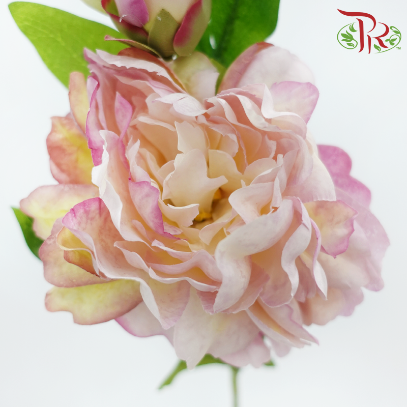 Artificial Peony Spray - 5 Stems