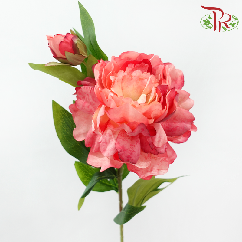 Artificial Peony Spray - 5 Stems