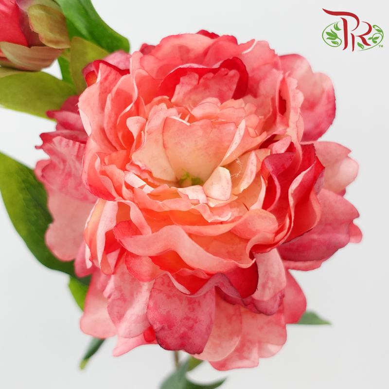 Artificial Peony Spray - 5 Stems