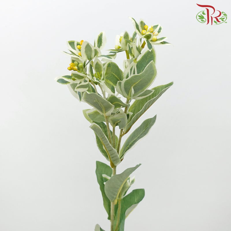 68cm - Artificial Euphorbia Spray (3 Stems)-Pudu Ria Florist-prflorist.com.my