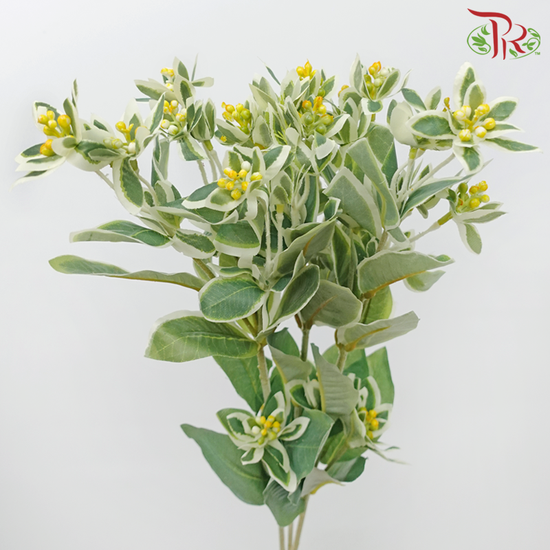 68cm - Artificial Euphorbia Spray (3 Stems)-Pudu Ria Florist-prflorist.com.my