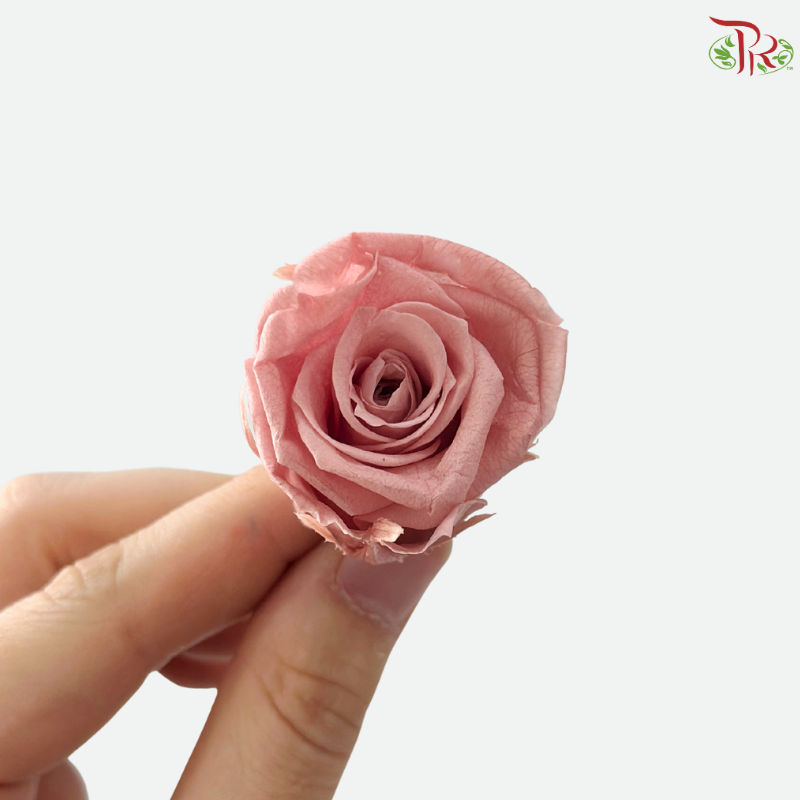 21 Blooms Preserved Rose