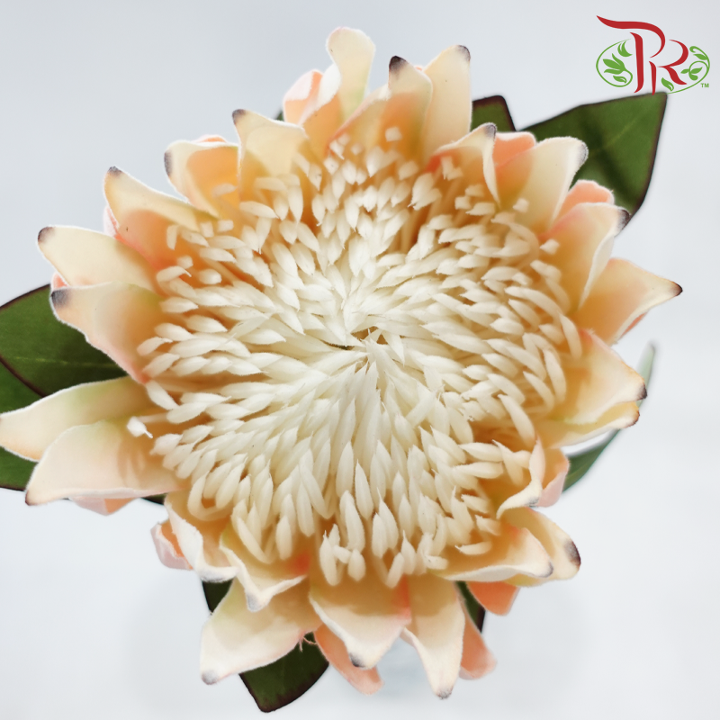 Artificial Protea Spray - Per Stem