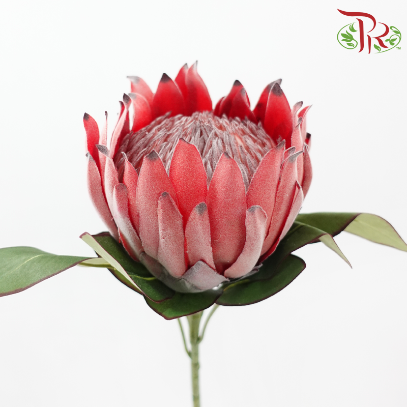 Artificial Protea Spray - Per Stem