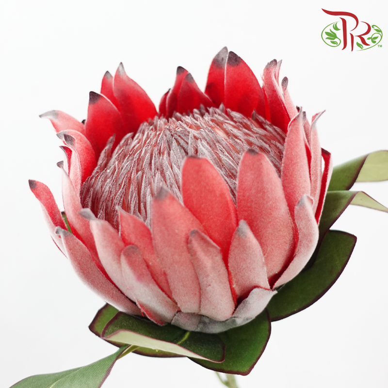Artificial Protea Spray - Per Stem