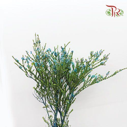 Snowflake Double (Dyed) - Pudu Ria Florist