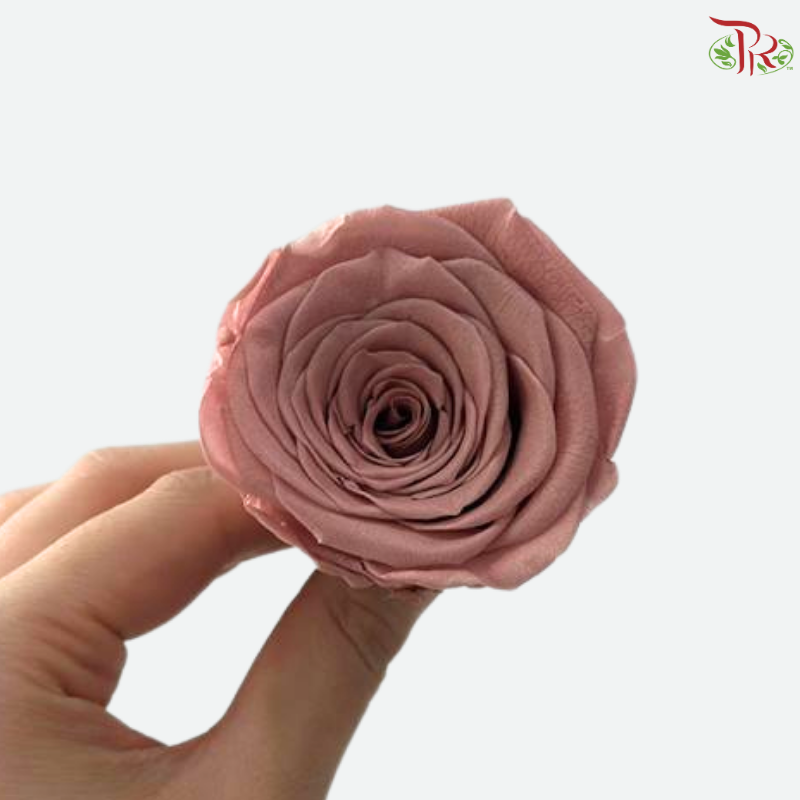 8 Blooms Preserved Rose