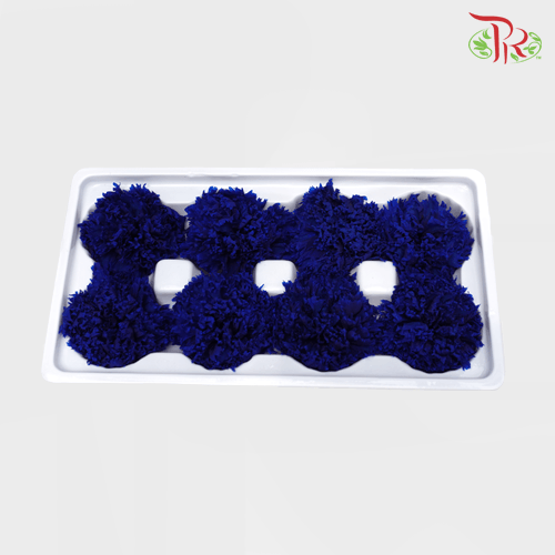 8 Bloom Preservative Carnation - Dark Blue-Blue-China-prflorist.com.my