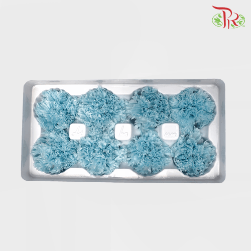 8 Bloom Preservative Carnation - Light Blue-Blue-China-prflorist.com.my