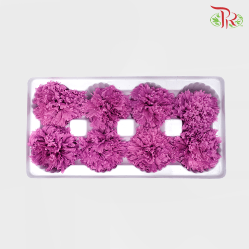 8 Bloom Preservative Carnation - Lilac-Lilac-China-prflorist.com.my