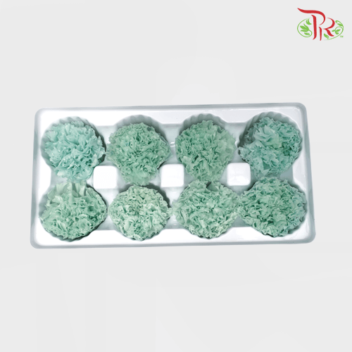 8 Bloom Preservative Carnation - Turquoise-Turquoise-China-prflorist.com.my
